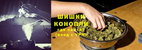 ПСИЛОЦИБИНОВЫЕ ГРИБЫ Алексин