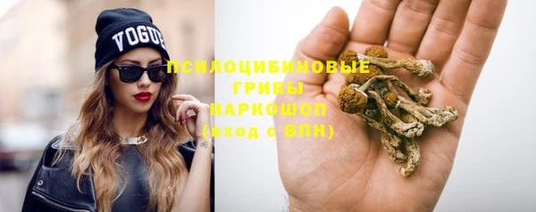 ПСИЛОЦИБИНОВЫЕ ГРИБЫ Алексин