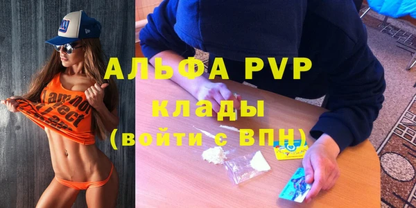 ПСИЛОЦИБИНОВЫЕ ГРИБЫ Алексин