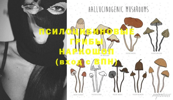 индика Алзамай